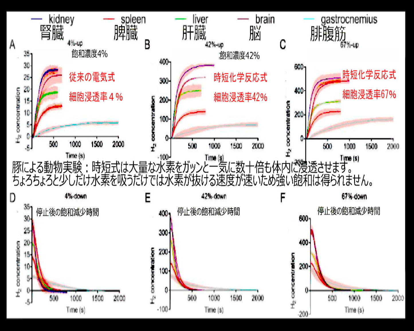 水素ガス10-12L 時短水素吸引器 H2-LARGE10-12l 大容量モデル