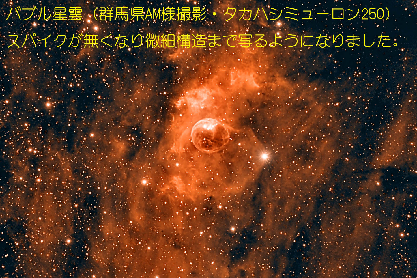 SkyWatcher BKP250(口径250㎜用)バイナリ ホログラム アポタイザー