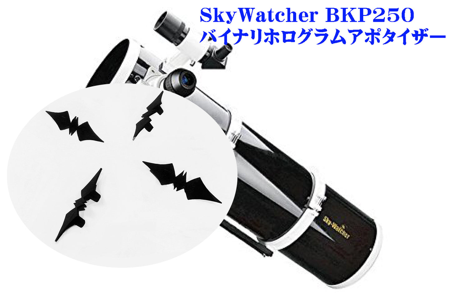 SkyWatcher BKP250(口径250㎜用)バイナリ ホログラム アポタイザー