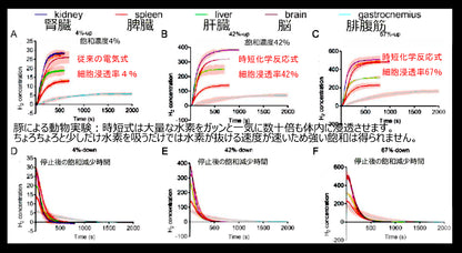 水素ガス30L　大容量水素時短吸引器　H2-LARGE30-35L（臨床論文検証モデル）