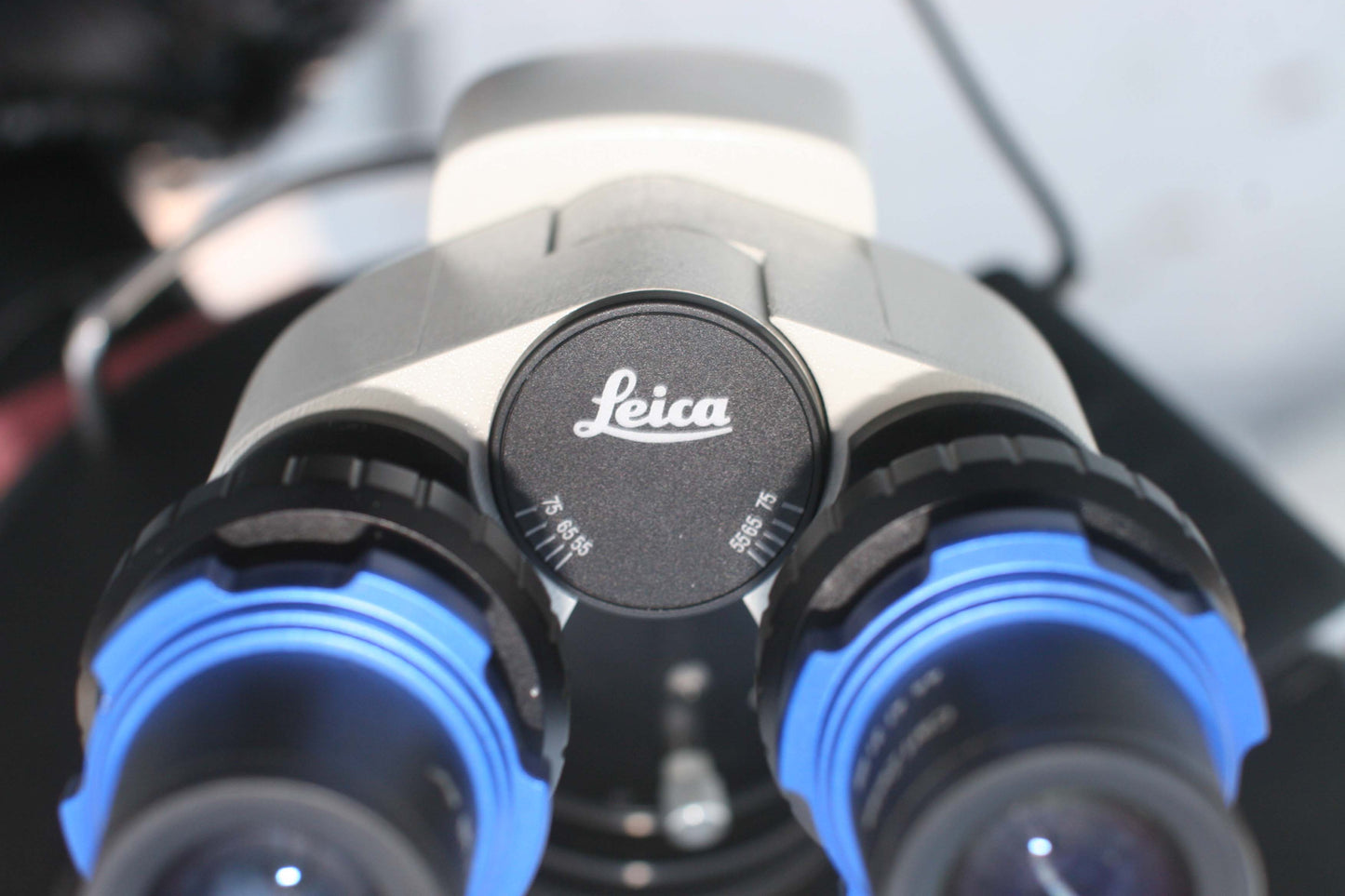 Appareil binoculaire anti-air LEICA à 60 degrés pour objets astronomiques